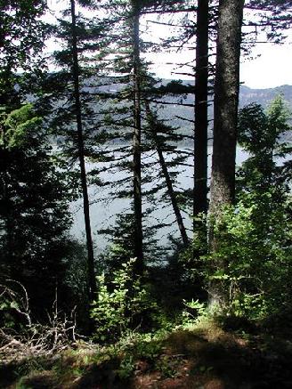 Columbia River on Oregon side